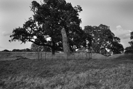 Longstone Rath & Standing Stone, Kildare, Ireland 1989 Standing Stone, Rath, Megalith
