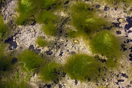 Hook Head, Co. Wexford, Ireland, June 2010