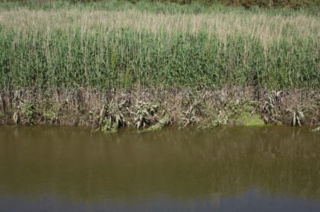 Wellington Bridge, Co. Wexford, Ireland, June 2010 Wellington Bridge, Co. Wexford, Ireland, June 2010
