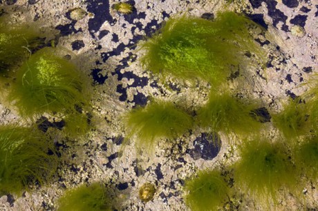 Hook Head, Co. Wexford, Ireland, June 2010