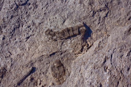 Hook Head, Co. Wexford, Ireland, June 2010