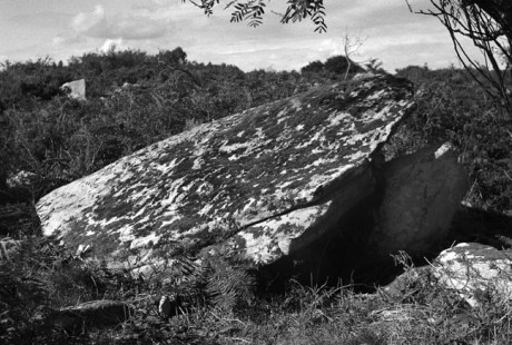 Ballynasilloge Portal Tomb, Carlow, Ireland 1989 Portal Tomb, Dolmen, Cromlech