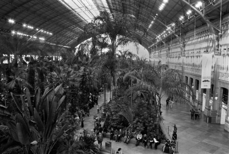 Atocha Station, Madrid, Spain, January 2005