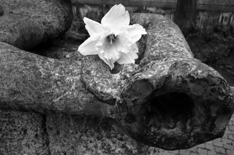 Amsterdam, Netherlands, April 1999