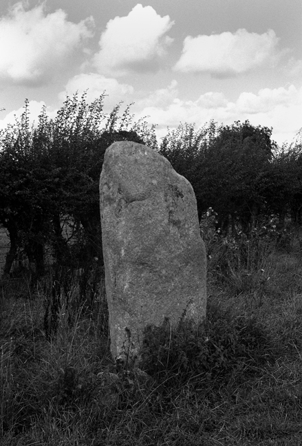 Ballynoe Standing Stone, Carlow, Ireland, 1990 Standing Stone