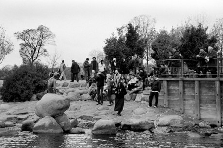 Little Mermaid, Copenhagen, Denmark, October 2007