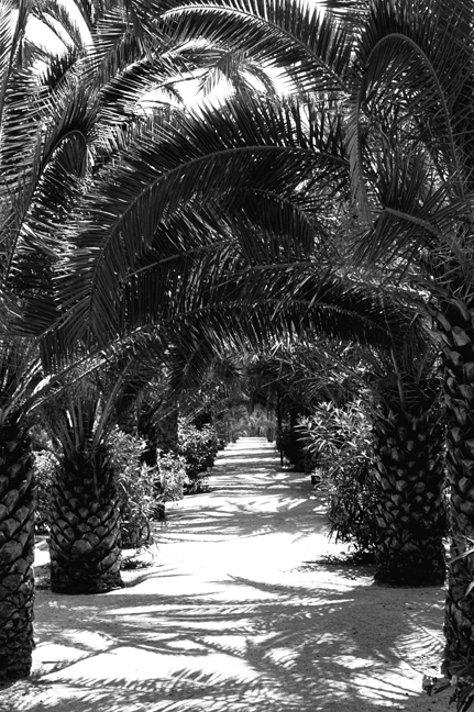 Parc Joan Miró, Barcelona, Spain, August 2002