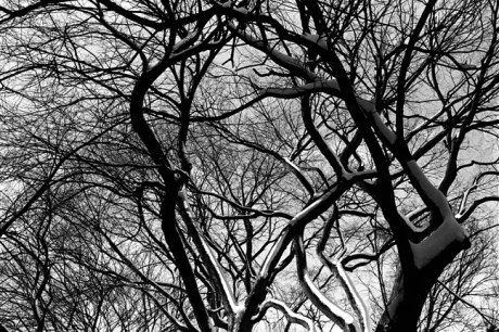 Tompkins Square, East Village, Manhattan, New York, January 2001