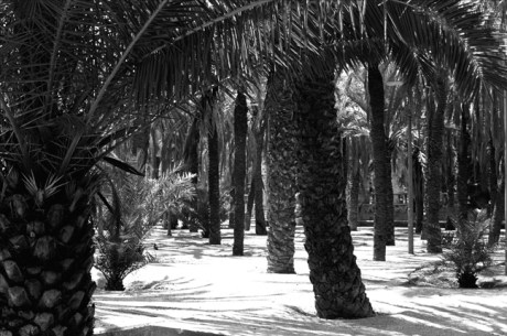 Parc Joan Miró, Barcelona, Spain, August 2002