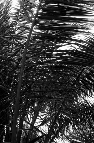 Parc Joan Miró, Barcelona, Spain, August 2002