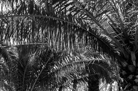 Parc Joan Miró, Barcelona, Spain, August 2002 