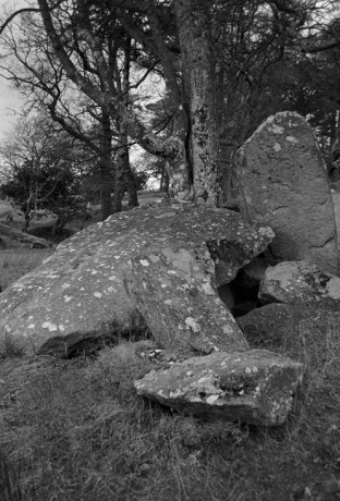 Portal Tomb, Cromlech, Dolmen