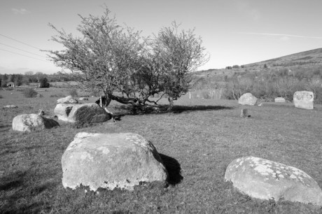 Stone Circle/Megalith