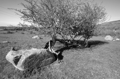 Stone Circle/Megalith