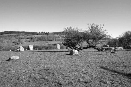 Stone Circle/Megalith