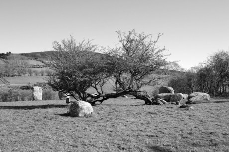 Stone Circle/Megalith