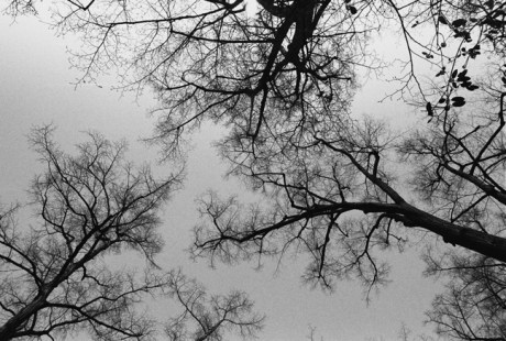 Petrin Hill, Prague, Czech Republic, April 2000