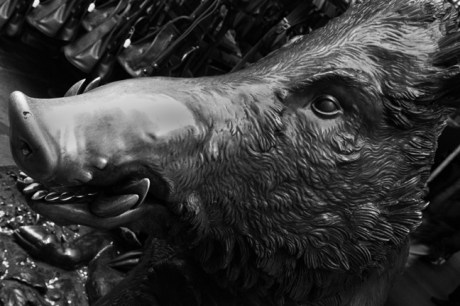 Boars Head, Florence, Italy, February 2007