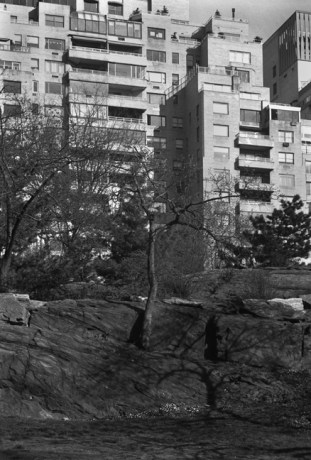 Central Park, Manhattan, New York, America, April 1995