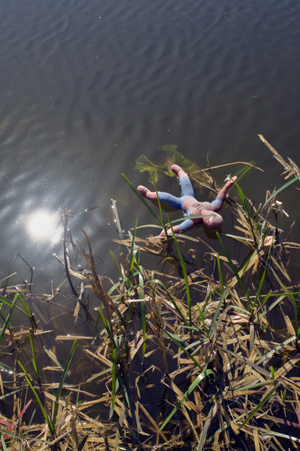 Maynooth, Kildare, Ireland, April 2014
