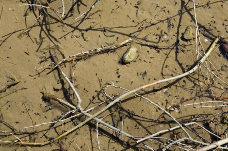 Leixlip, Kildare, Ireland, April 2014