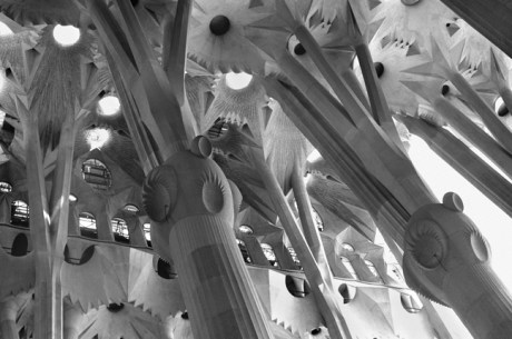 Templo Expiatorio de la Sagrada Familia, Barcelona, Spain, August 2002