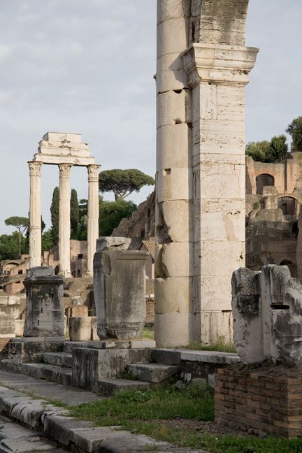 The Temple of Castor & Pollux, Rome, Italy, May 2009