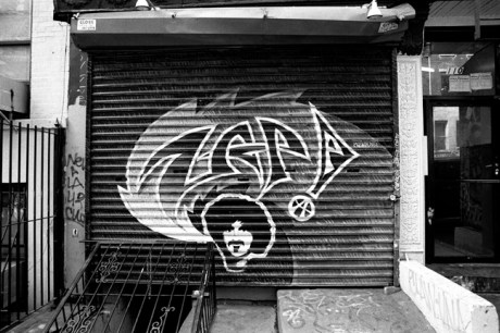 Zappa, East Village, Manhattan, New York, America, April 1995