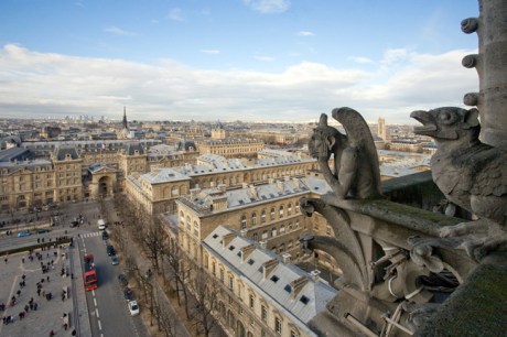 Gargoyle, Notre-Dame, Paris, France, January 2010