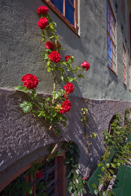 Bygdøy Peninsula, Oslo, Norway, June 2010 Bygdøy Peninsula, Oslo, Norway, June 2010