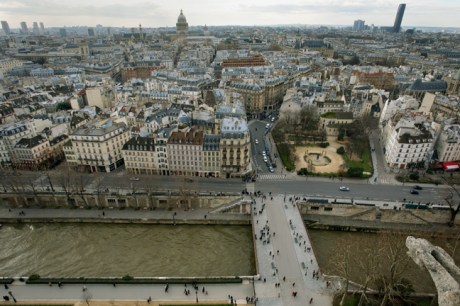 From Notre-Dame, Paris, France, January 2010