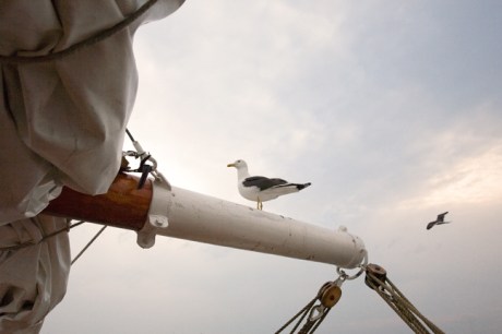 Oslo Harbour, Oslo, Norway, June 2010 Oslo Harbour, Oslo, Norway, June 2010
