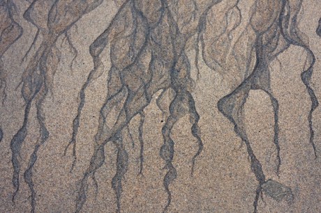 Baginbun Bay, Co. Wexford, Ireland, February 2013 © Tom O' Connor 20
