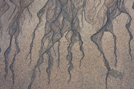 Baginbun Bay, Co. Wexford, Ireland, February 2013 © Tom O' Connor 2013