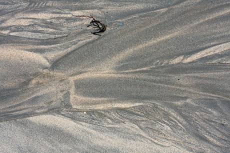 Baginbun Bay, Co. Wexford, Ireland, February 2013 Baginbun Bay, Co. Wexford, Ireland, February 2013 © Tom O' Connor 2013