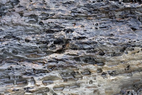 Baginbun Bay, Co. Wexford, Ireland, February 2013 Baginbun Bay, Co. Wexford, Ireland, February 2013 © Tom O' Connor 2013