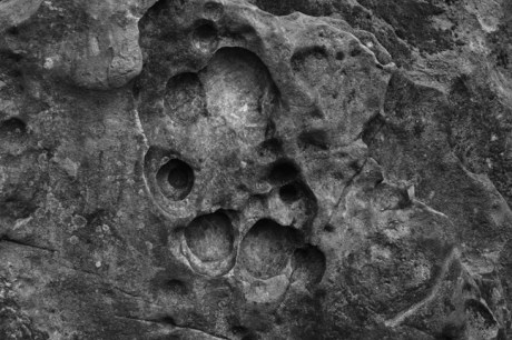 Lusty Beg Island, Co. Fermanagh, Ireland, October 2000