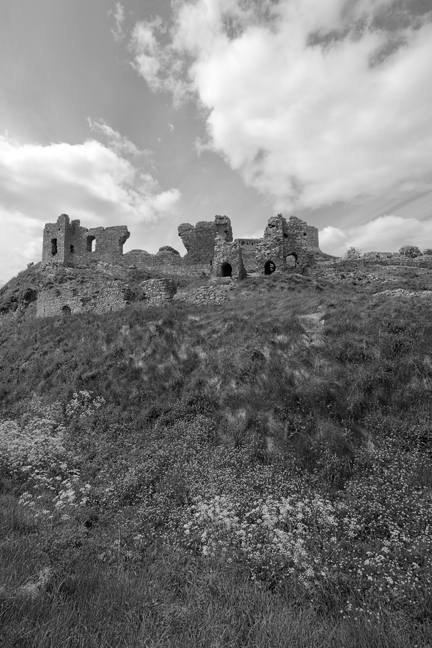 Rock of Dunamase, Co Laois, Ireland, May 2010 Rock of Dunamase, Co Laois, Ireland, May 2010