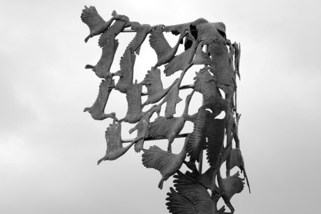 Lough Owel, Co. Westmeath, Ireland, March 2009