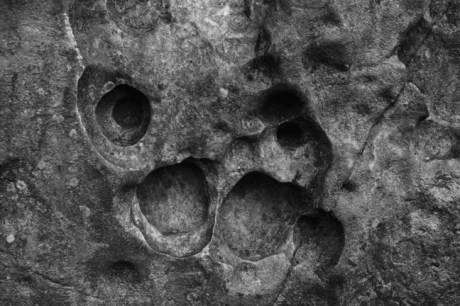 Lusty Beg Island, Co. Fermanagh, Ireland, October 2000