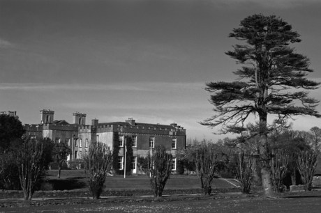 Ardgillan, Skerries, Co. Dublin, Ireland, April 2000