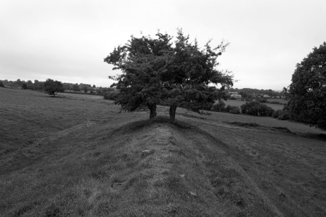 Tara Royal Complex, Meath, Ireland, September 2010