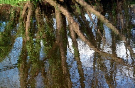 The River Dodder, Dublin, Co. Dublin, Ireland, July 2001