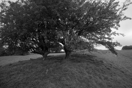 Tara Royal Complex, Meath, Ireland, September 2010