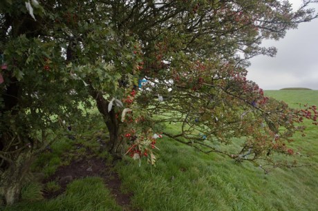 Tara Royal Complex, Meath, Ireland, September 2010
