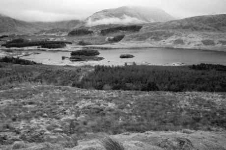 Tawnyard, Co. Mayo, Ireland, March 2009