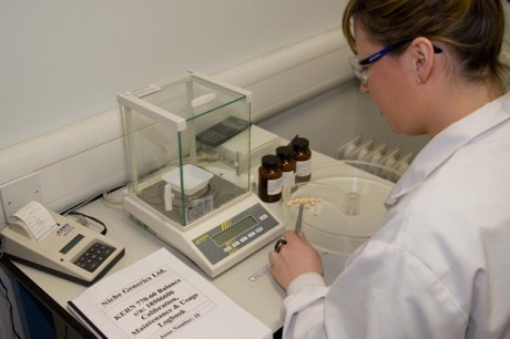 Niche Generics Ltd, Baldoyle, Dublin, Ireland, October 2008