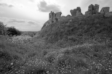 Rock of Dunamase, Co Laois, Ireland, May 2010 Rock of Dunamase, Co Laois, Ireland, May 2010