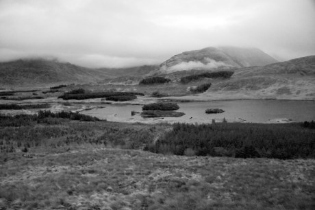 Tawnyard, Co. Mayo, Ireland, March 2009