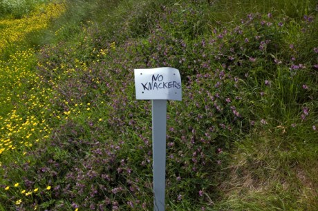 Dunamase, Co Laois, Ireland, May 2010